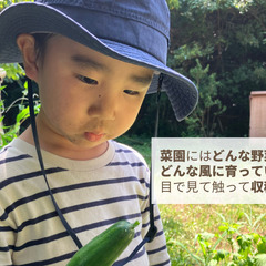 【淡路島】自然×英語！親子で楽しむ秋の収穫体験（2〜6歳） - 育児