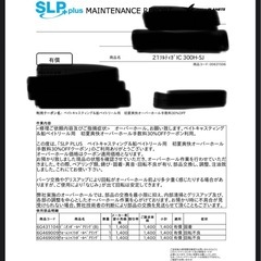 ソルティガic300 H-SJ右巻き
の画像