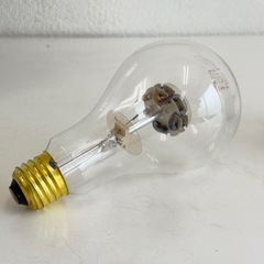 【100V/100W 箱あり】保温電球 ヒヨコ保温球 旭光電機工業｜小動物 小鳥 ペット 温室 園芸 育苗に｜電球型 保温ランプ 口金E26相当｜点灯未確認・ガラス面に近距離で分かる小さな付着ありの画像