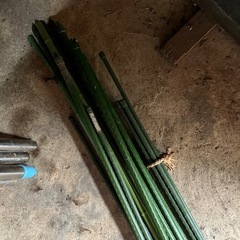 園芸用支柱( 3m×10数本 )の画像