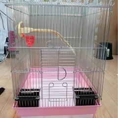 鳥　飼育セットの画像