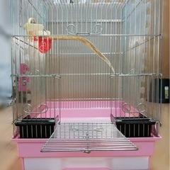 鳥　飼育セットの画像