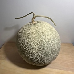 【激うま】アールスメロンの画像