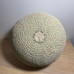 【激うま】アールスメロンの画像