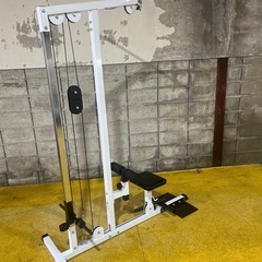 WILD FIT ラットプルマシン　プレートロード式　背中トレーニングの画像