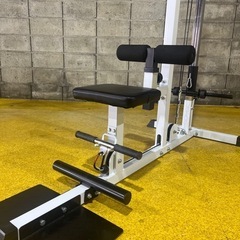 WILD FIT ラットプルマシン　プレートロード式　背中トレーニングの画像
