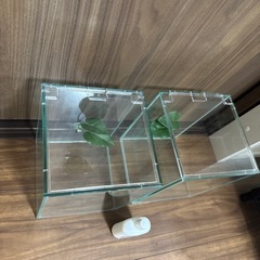 コトブキ レグラス水槽の画像