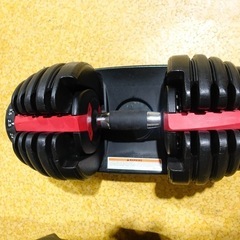 可変式ダンベル　クイックダイヤル　24kg×２　Bowflexタイプの画像