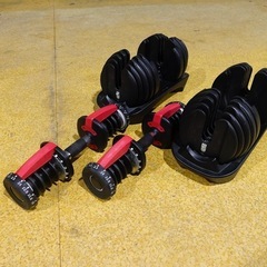 可変式ダンベル　クイックダイヤル　24kg×２　Bowflexタイプの画像