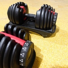 可変式ダンベル　クイックダイヤル　24kg×２　Bowflexタイプの画像