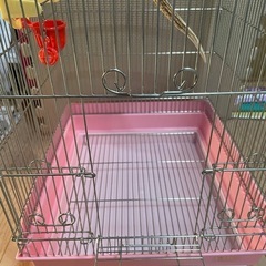 鳥　飼育セットの画像