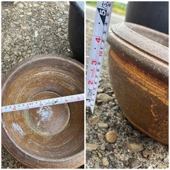 睡蓮鉢・金魚鉢 4個セット（お話中デス）の画像