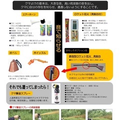 熊よらーずセットの画像