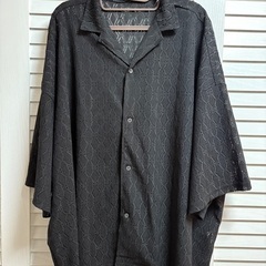 試着のみ美品 ビッグシルエット 半袖レースシャツの画像