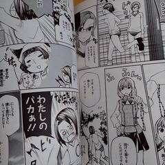 【全巻セット】　まりあ†ほりっく　1～14巻　【j324】の画像