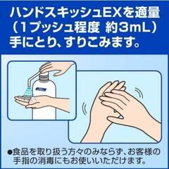 【出品多数】【新品未開封】ハンドスキッシュEX 4.5L アルコール消毒液 手指用の画像