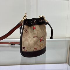 [コーチ]  可愛いです ショルダーバッグ ミニハート ミニスター バケツバッグの画像