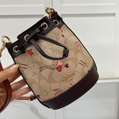 [コーチ]  可愛いです ショルダーバッグ ミニハート ミニスター バケツバッグの画像