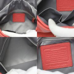コーチ 16931 ショルダーバッグ ピンク  COACH クリスティン レザーヒッピーの画像
