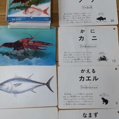 くもん　川や海の生き物カード 知育　楽しい仕掛け絵本　やさいさんの画像