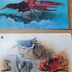 くもん　川や海の生き物カード 知育　楽しい仕掛け絵本　やさいさんの画像
