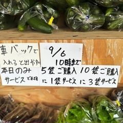 7日10時まで延長　超🉐　　 茄子の画像