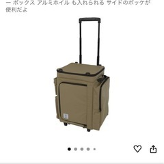 DOD　バベコロ2 冷蔵庫型 ソフトクーラー ボックスの画像