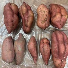 さつまいも（安納芋）の画像