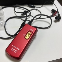 パイオニア　フェミミの画像