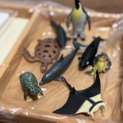 《新品未使用 》モンテッソーリ 絵合わせ =海の生き物=の画像