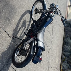 TLM50の画像
