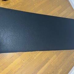 インフレーターマット、アンダースカイ
の画像