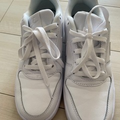 NIKE スニーカー 25センチの画像