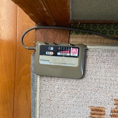 ホットカーペットの画像