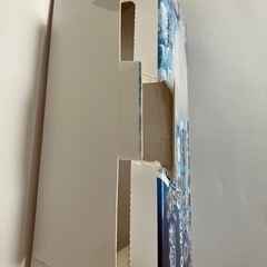 冷感マスク19枚（個包装）の画像