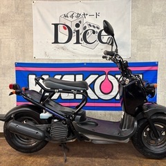 ★即乗りOK！　ホンダ　ズーマー　セル1発　実働車　ZOOMER　キャブ車　グリップ・オイル新品　原付　バイクの画像