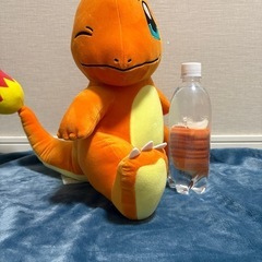 新品未使用　ヒトカゲ　ポケモン
の画像