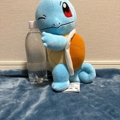 新品未使用　ゼニガメ　ポケモンの画像