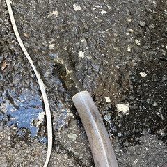 テラダ水中ポンプの画像