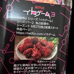 お菓子　イカゲーム　いかの姿あげ  角ポット　3個セットの画像