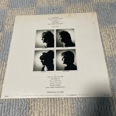 アンルイス　LA SAISON DAMOVR LPレコードの画像