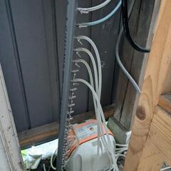 錦鯉8匹セット　25センチ〜30センチ程度（目見当）の画像