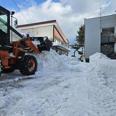 短時間【早朝】除雪【ダンプ】またはホイルローダー【大特免許】ある方の画像