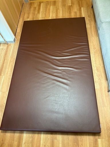 【受け渡し者決まりました】サバイDX【forオイル】1枚