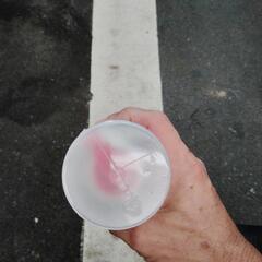 ウレタンクリアーの画像