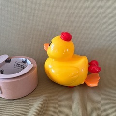 水陸両用アヒルの画像