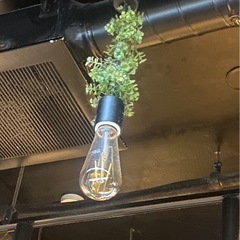 ペンダント照明
の画像