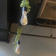 ペンダント照明
の画像