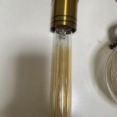 電球の画像