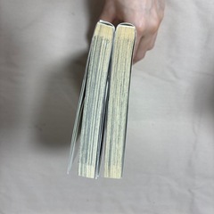 アンゴルモア1、2巻の画像